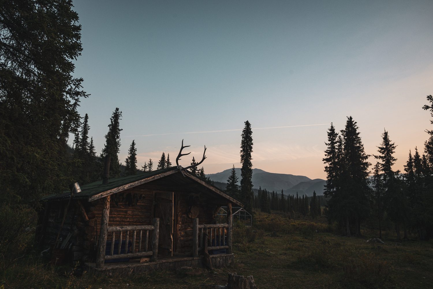 Forest expedition camp